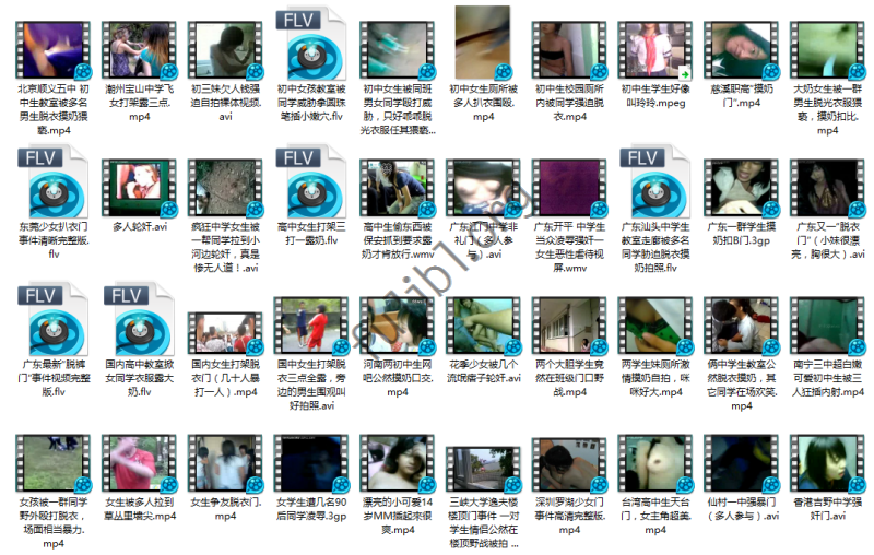 倾情整理 令人痛心的校园B力事件合集[54V/1.06G]