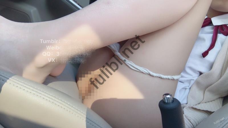 [推荐]福利姬@悠宝 - 车上露出 厕所ZW[13P+2V/144M]