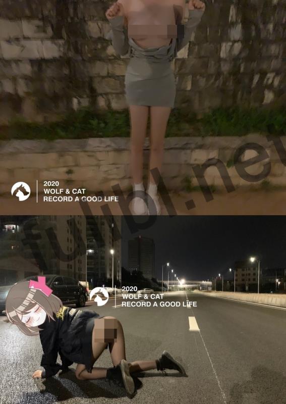 高质量网红@狼先生&猫小姐 尺度私拍合集[81P+11V/67M]