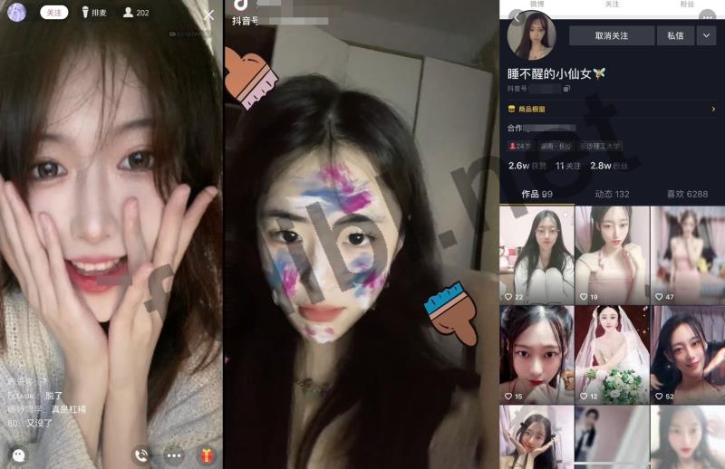 抖音网红@金鑫蔓笙/小小静/睡不醒的小仙女/刘儿/野餐兔 尺度私拍合集[2P+34V/3.79G]