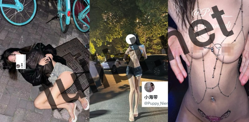 极品白虎福利姬@小海带 尺度视图合集[225P+10V/805M]